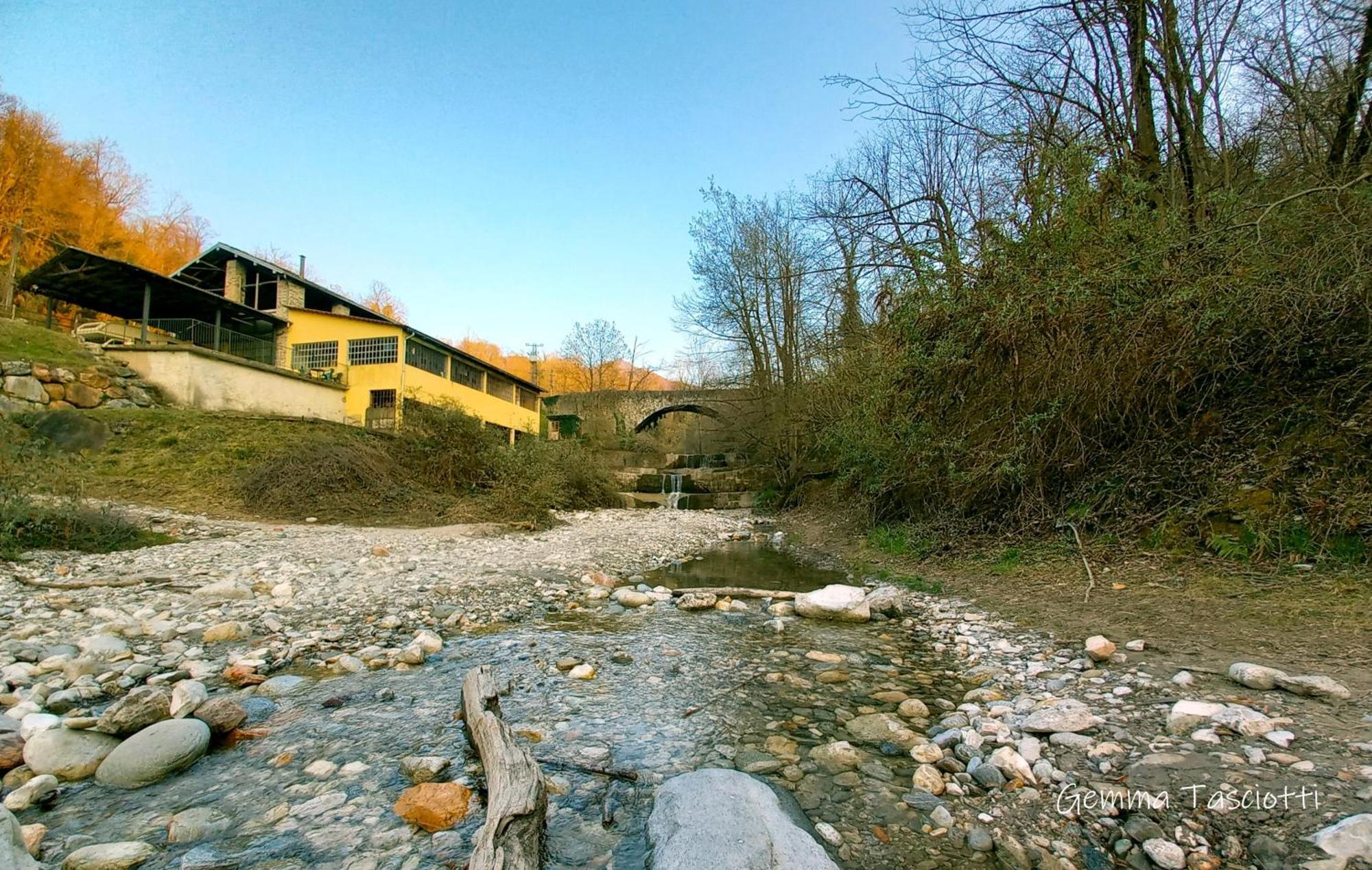 Natura Tra Bosco E Lago Castelveccana Exteriér fotografie